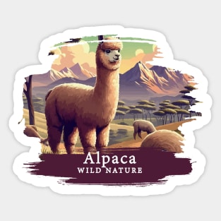 Alpaca - WILD NATURE - ALPACA - 14 Sticker